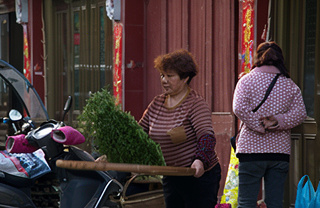 Белый чай из Фудина|Статьи о чае