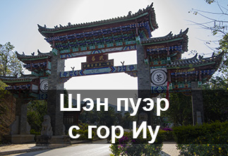 Фото Шэн пуэр с гор ИУ