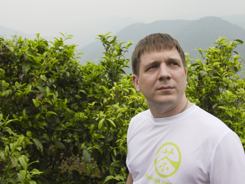 Разница между весенним и летним пуэром|Статьи о чае