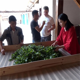 Фото Как устроен чайный рынок Китая