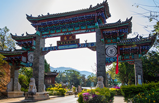 Фото Шэн пуэр с гор ИУ