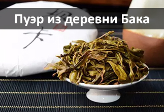 Фото Пуэр из деревни Бака (Мэнку)
