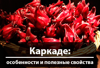 Картинка Каркаде: особенности и полезные свойства