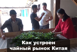 Фото Как устроен чайный рынок Китая