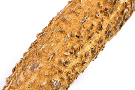 CL-486Тегуаньинь кугуа (Те гуань инь в китайской горькой тыкве кхукуа).