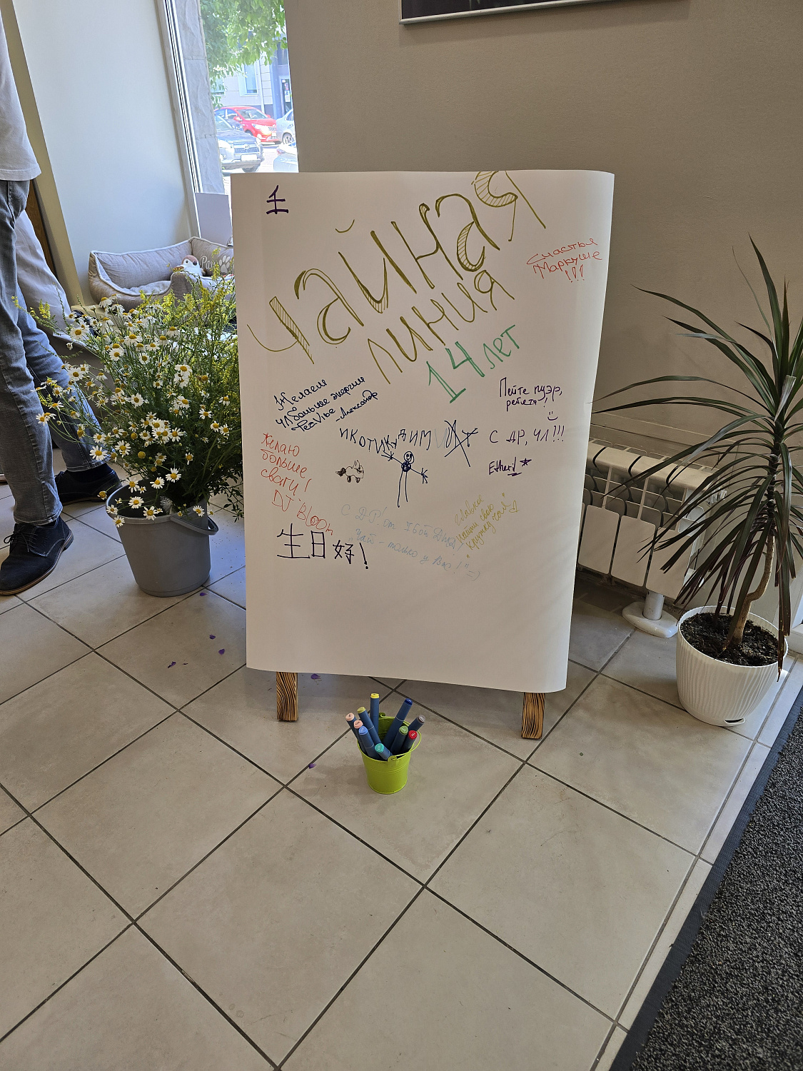 Памятная вечеринка в честь дня рождения Чайной Линии