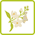 Цветки растений|Чайные смеси и травяные чаи