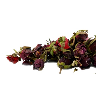 Бутоны красной иранской розы|Цветки растений